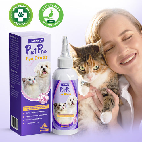 🛡️Lotmay® PetPro Eye Drops-😾Daily L-Lysine Drops for Feline Herpes & Eye Care🐾