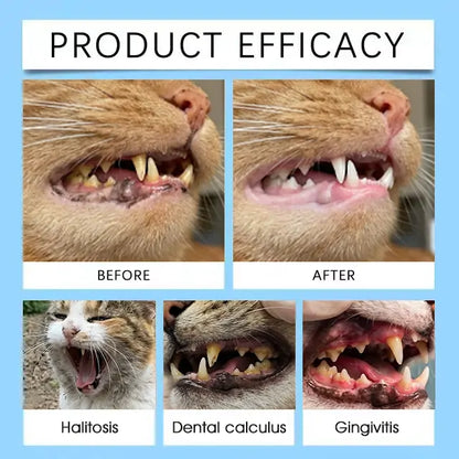 [Official USA Store] 𝐘𝐨𝐯𝐨𝐭® 𝐏𝐞𝐭 𝐃𝐞𝐧𝐭𝐚𝐥 & 𝐃𝐢𝐠𝐞𝐬𝐭𝐢𝐯𝐞 𝐇𝐞𝐚𝐥𝐭𝐡 𝐎𝐫𝐚𝐥 𝐒𝐨𝐥𝐮𝐭𝐢𝐨𝐧 – Freshen Breath, Remove Tartar & Promote gum regeneration, stabilize teeth (for Cats & Dogs)  – Save 80% Today!